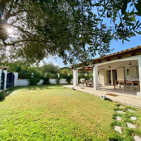 La Casa Dell Olivo Villa Castiadas Eksteriør billede